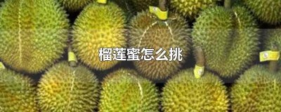 ​榴莲蜜怎么挑选好吃又甜 榴莲蜜怎么挑选好吃点