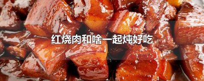 ​红烧肉和什么菜炖在一起好吃 红烧肉加什么一起炖好吃