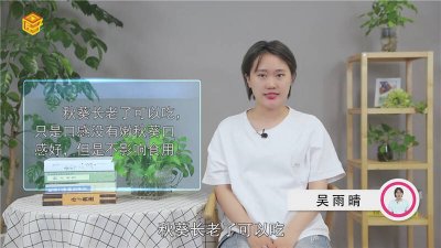 ​秋葵老了还可以吃吗视频[秋葵老了不能吃了怎么办]