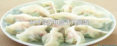 ​几个饺子等于一碗饭的热量 几个饺子等于一碗饭菜