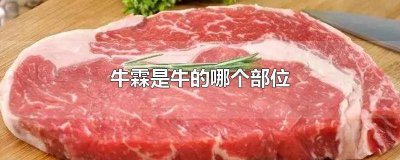 ​牛霖是牛身上的什么部位 牛霖是牛的什么部位好不好