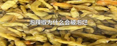 ​泡椒坏了怎么办 泡辣椒总是泡的上浮烂掉怎么办?