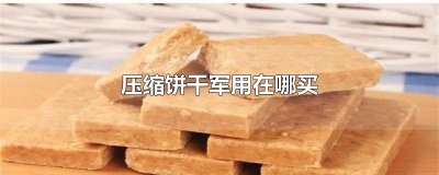 ​军用压缩饼干和民用压缩饼干 军用压缩饼干哪里可以买到