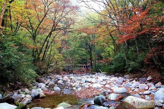 四川巴中南江光雾山大坝景区彩林五彩缤纷美不胜收摄影者的天堂