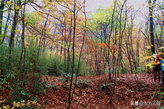 四川巴中南江光雾山大坝景区彩林五彩缤纷美不胜收摄影者的天堂