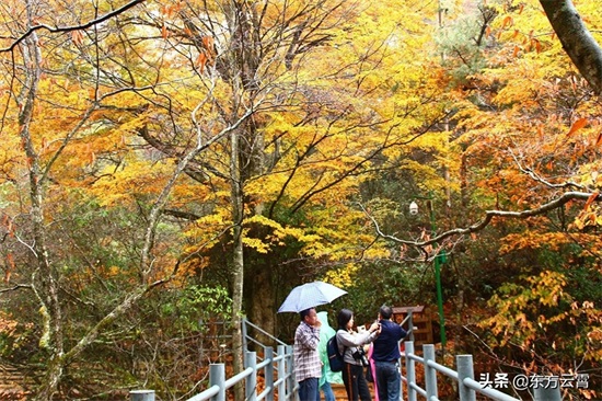 四川巴中南江光雾山大坝景区彩林五彩缤纷美不胜收摄影者的天堂