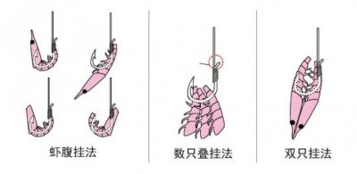 ​海钓如何挂饵才科学？图示简单易懂，一看就会