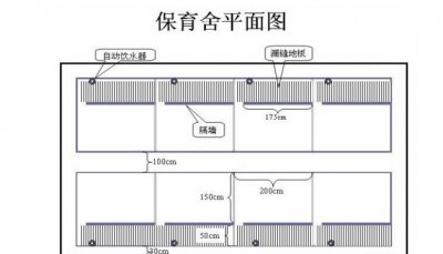 ​一套小型养猪场设计图纸，给准备建猪场的朋友参考参考！