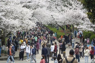 ​湖北双胞胎走红，双双考入“武汉大学”，网友：复制粘贴般的优秀